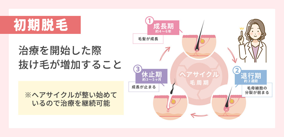 初期脱毛のヘアサイクルの図説