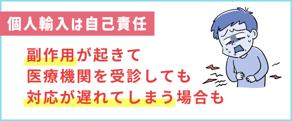 個人輸入は自己責任