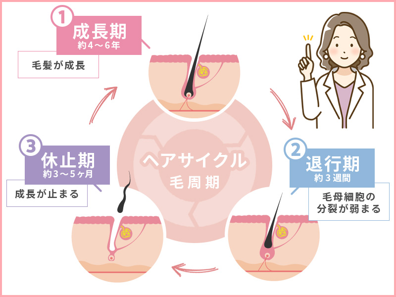 ヘアサイクルの一覧表