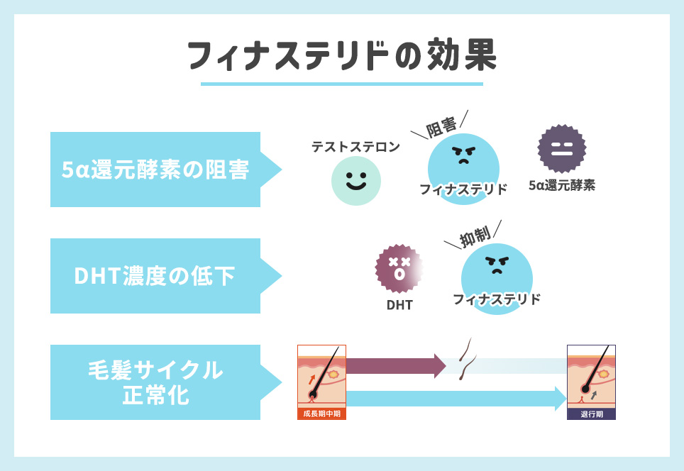 フィナステリドの効果まとめ一覧