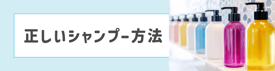 正しいシャンプー方法