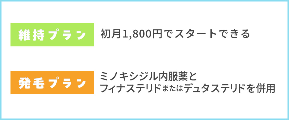 維持プランと発毛プランの特徴