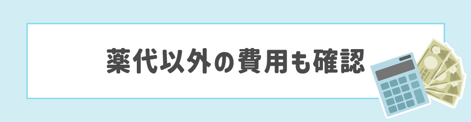 薬代以外の費用も確認