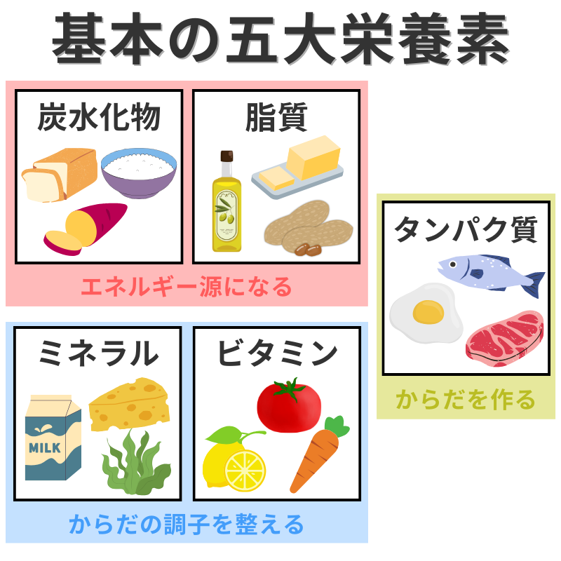 基本の五大栄養素解説