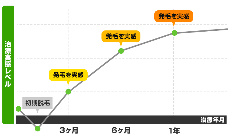 発毛実感レベルと治療年月のグラフ