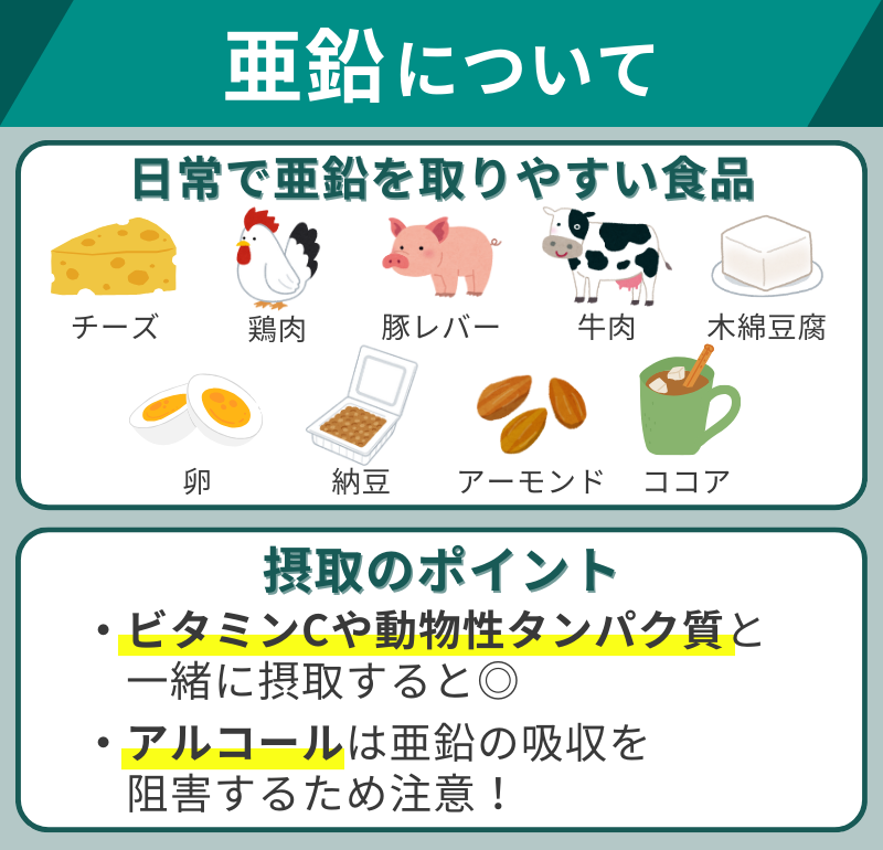 日常で亜鉛を取りやすい食品と摂取のポイント