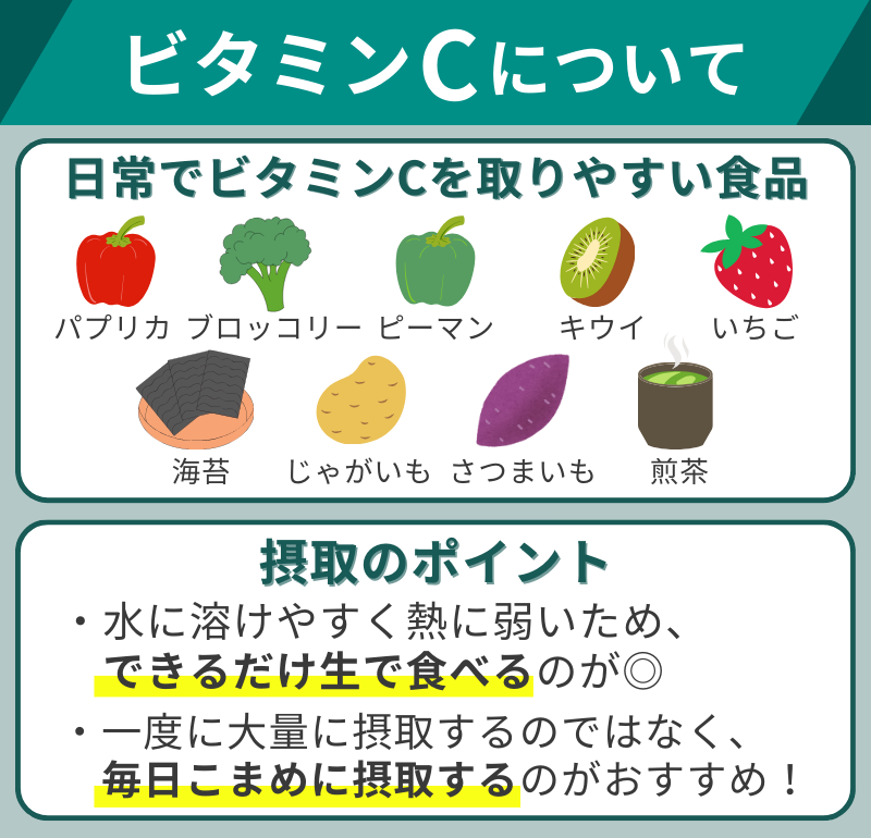 日常でビタミンCを取りやすい食品と摂取のポイント