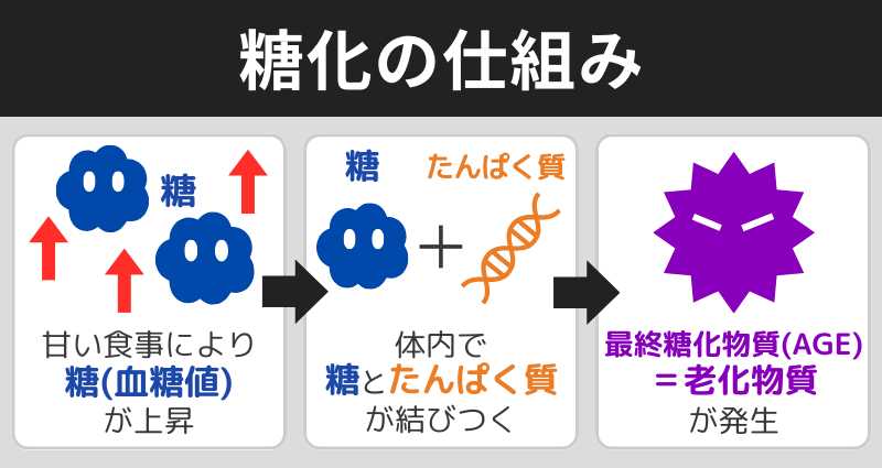 糖化の仕組みと流れ