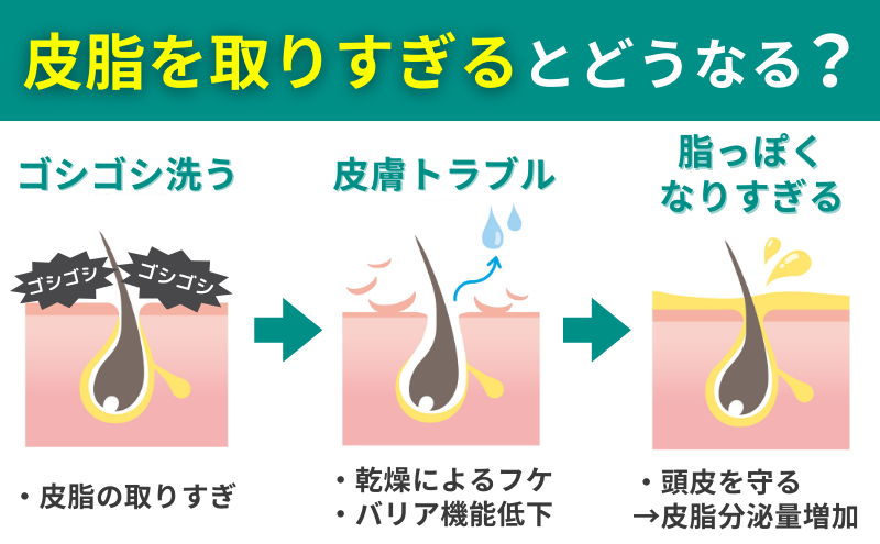 皮脂を取りすぎるとどうなるかの図