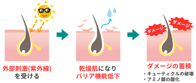 頭皮が紫外線を受けるとどうなるか