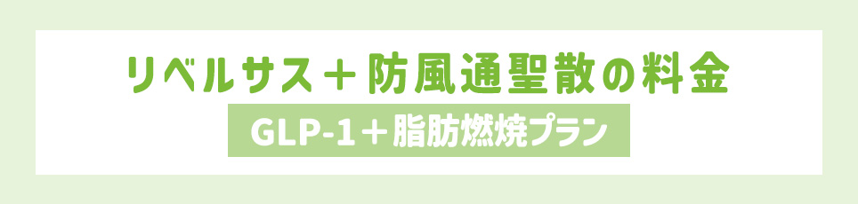 リベルサス+防風通聖散の料金【GLP-1+脂肪燃焼プラン】