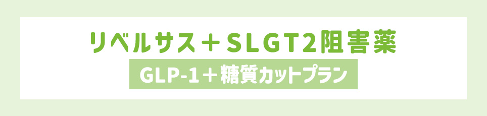 リベルサス+SLGT2阻害薬【GLP-1+糖質カットプラン】
